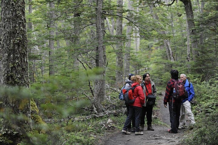 Tierra del Fuego Trekking & Canoeing in Lapataia Bay — Private Day Tour from Ushuaia photo 4