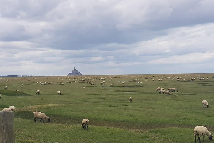 Rennes to Mont Saint-Michel, Cancale & Saint-Malo: One-Day Coastal Circuit photo 4