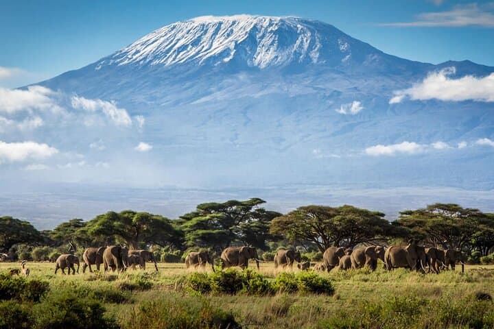 Lemosho Route Kilimanjaro: An 8-Day Summit Adventure to Uhuru Peak photo 3