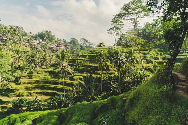 Bali Highlights: Waterfalls, Rice Terraces & Mount Batur Viewpoint photo 6