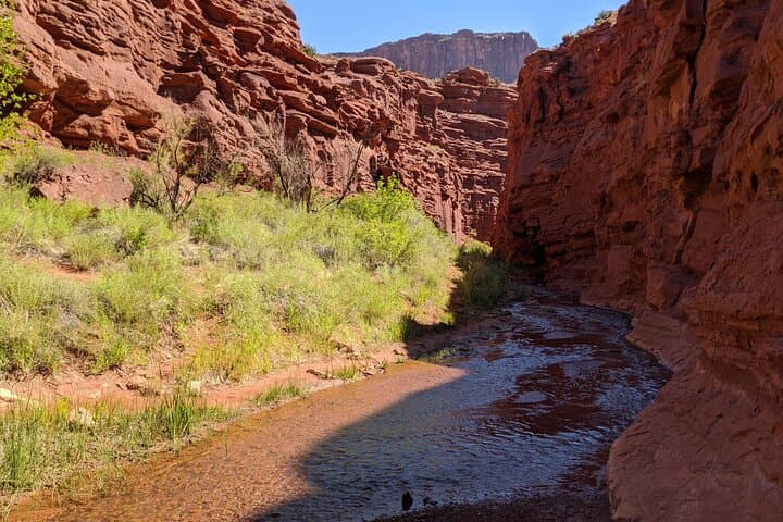 Beat the Heat with Moab’s Slot Canyon Summer Creek Hike photo 2
