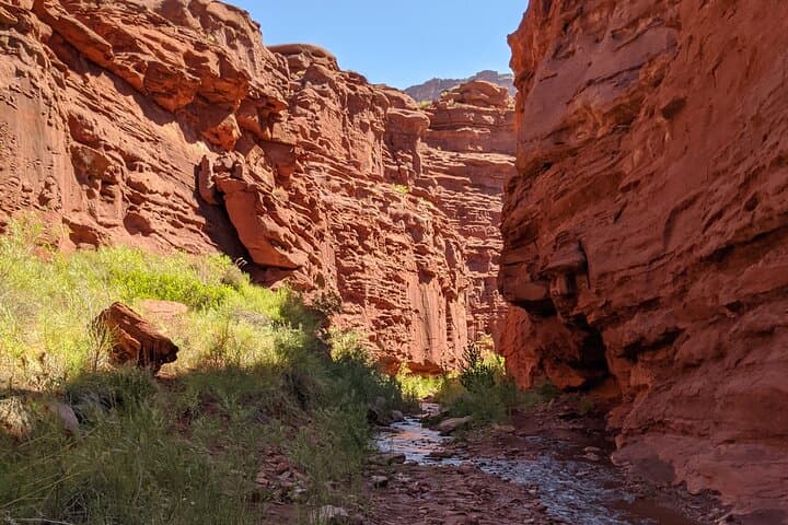 Beat the Heat with Moab’s Slot Canyon Summer Creek Hike