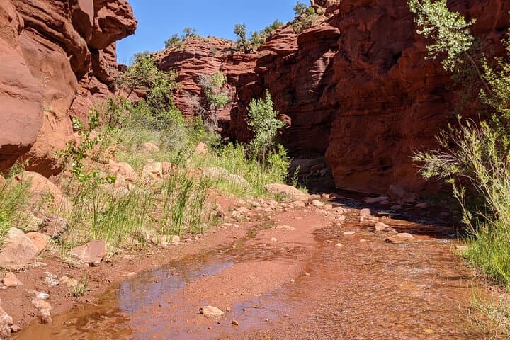 Beat the Heat with Moab’s Slot Canyon Summer Creek Hike photo 3