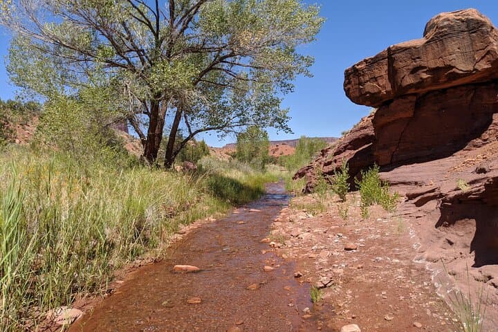 Beat the Heat with Moab’s Slot Canyon Summer Creek Hike photo 4