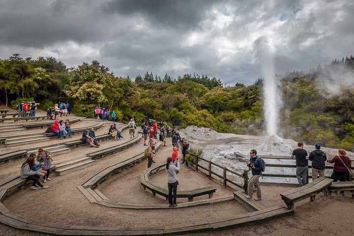 Private Rotorua Geothermal & Māori Cultural Day Tour from Auckland