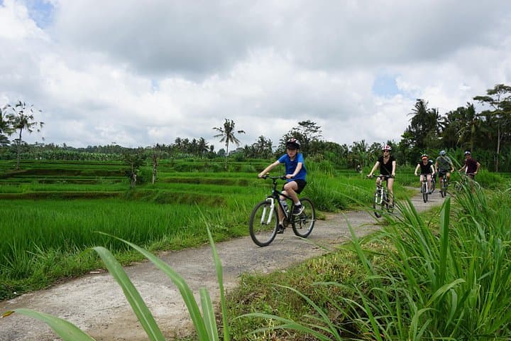 Kintamani Cultural Downhill Bike Tour: Rice Fields, Temples & Villages photo 1