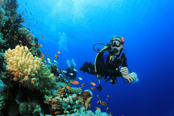 Discover Scuba Diving in Amed: Half-Day Intro with Two Shallow Reef Dives photo 2