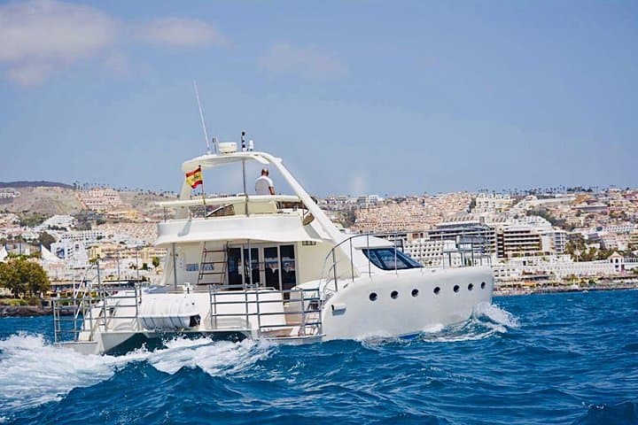 Tenerife Catamaran Cruise: Whale Watching, Snorkeling & Tapas from Puerto Colón