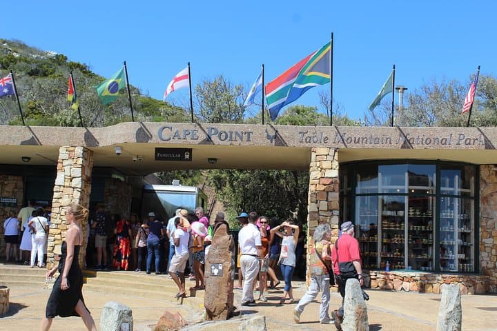 Cape Point & Boulders Penguins: Private Small-Group Tour from Cape Town photo 2
