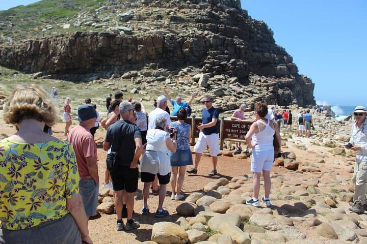 Cape Point & Boulders Penguins: Full‑Day Tour from Cape Town photo 4