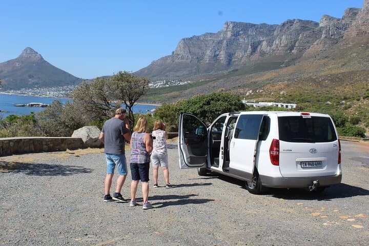 Hermanus Whale Watching, Stony Point Penguins & Wine: Full-Day Private Tour from Cape Town photo 2