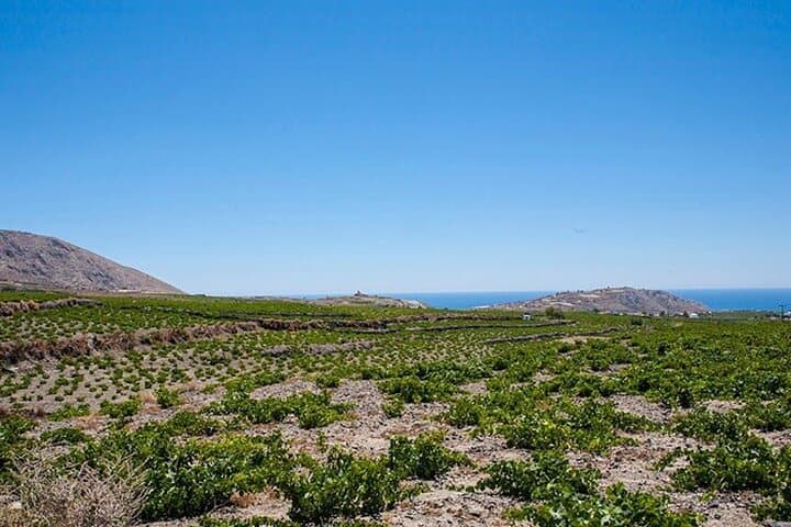 Explore the Enchanting Tapestry of Santorini: A Full Day Tour photo 3