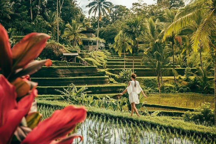 Ubud Private All-Inclusive Tour with Jungle Swing: Monkey Forest, Tegalalang & Tegenungan photo 4