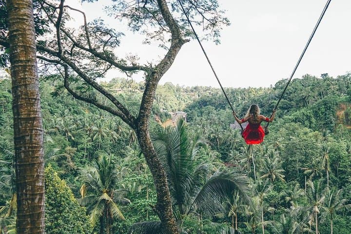 Ubud Private All-Inclusive Tour with Jungle Swing: Monkey Forest, Tegalalang & Tegenungan photo 2