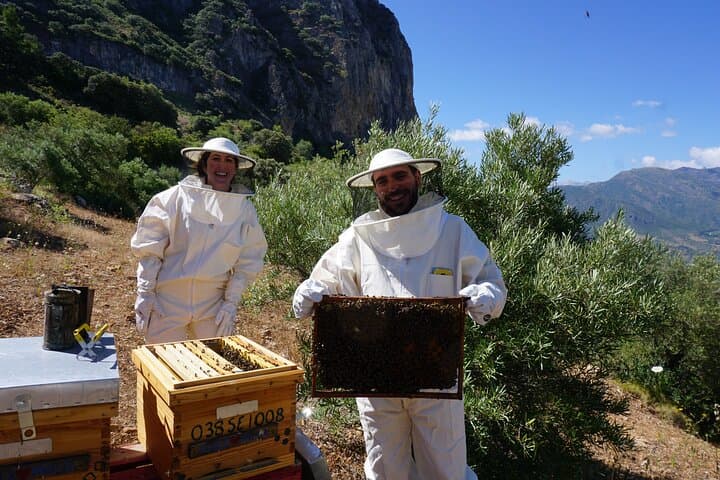 Bee Excursions in Sierra de Cádiz: Hands-On Beekeeping & Honey Tasting at Tajo Lagarín photo 2