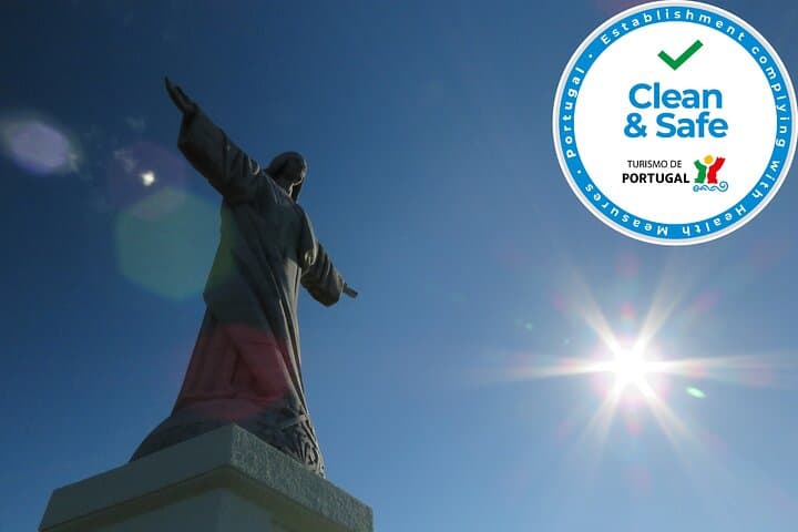 Madeira Highlights: Guided 4-Hour Tour from Funchal — Coastal Views, Terraces & Local Culture