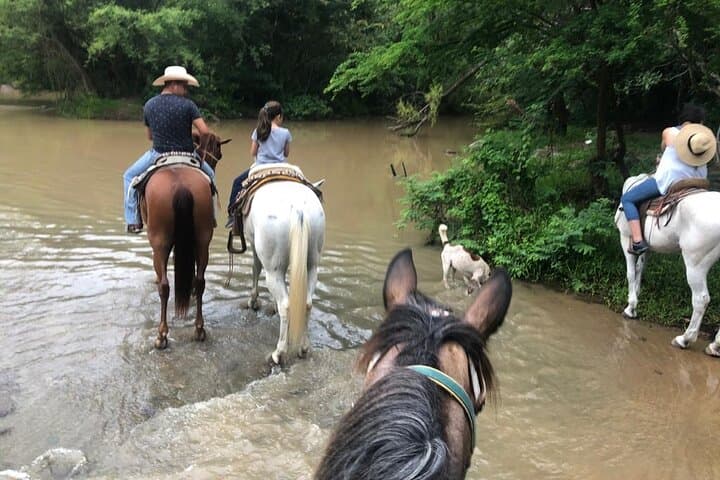 Saddle Up: Horseback Riding the Sierra Madre from Puerto Vallarta photo 3