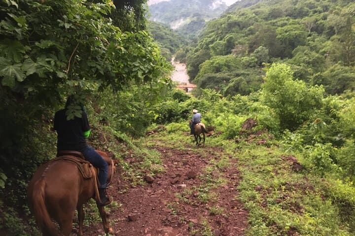 Saddle Up: Horseback Riding the Sierra Madre from Puerto Vallarta photo 5
