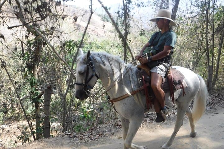 Saddle Up: Horseback Riding the Sierra Madre from Puerto Vallarta photo 6