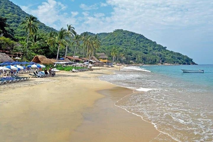 Private Snorkeling and Boat Tour to Las Animas Beach from Puerto Vallarta