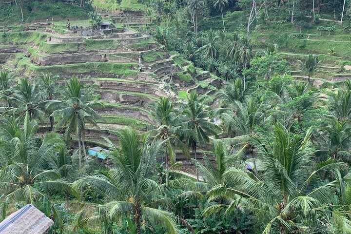 Bali Private Chauffeur Car Hire — Custom Island Highlights Tour photo 3