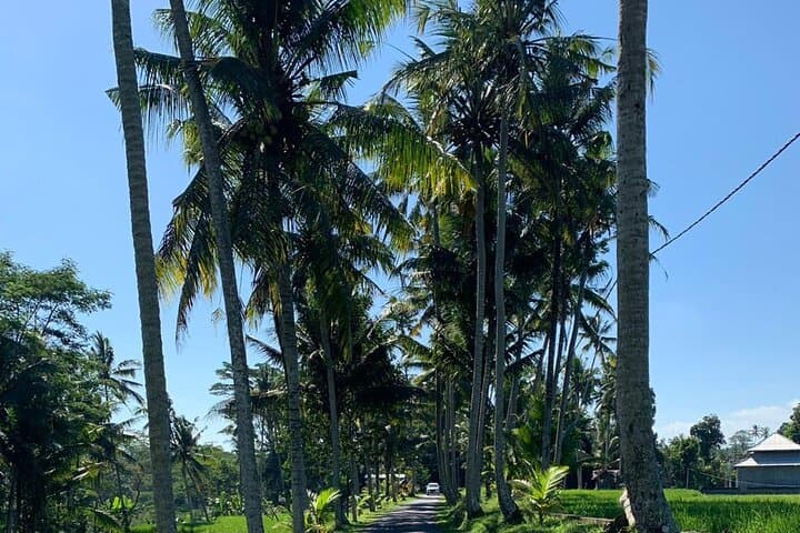 Bali Private Chauffeur Car Hire — Custom Island Highlights Tour photo 5