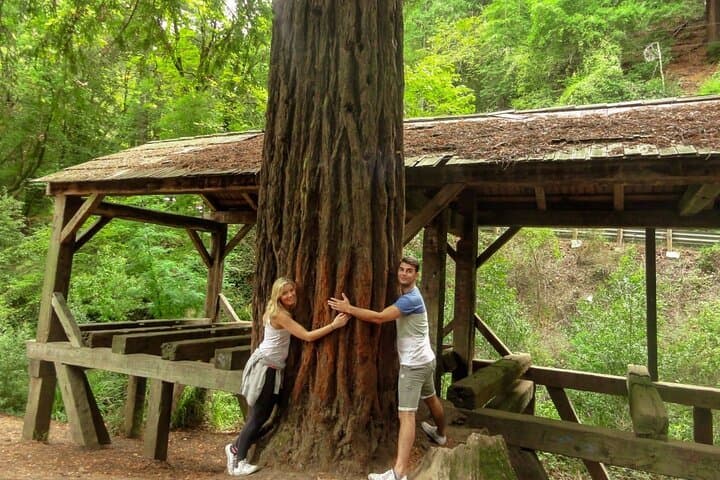 Private Muir Woods and San Francisco Highlights Car Tour — Full-Day from SF photo 2