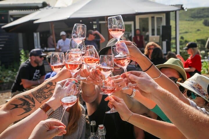 Waiheke Island Premium Wine Tour: Tastings, Vineyards & Practical Tips photo 3