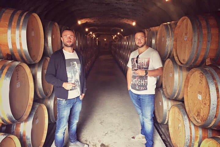 Waiheke Island Premium Wine Tour: Tastings, Vineyards & Practical Tips photo 5