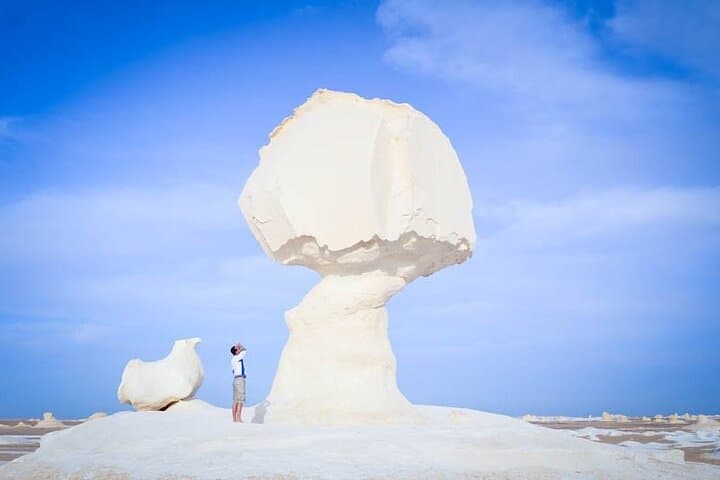 Overnight Camping in Egypt's White and Black Deserts from Cairo photo 5