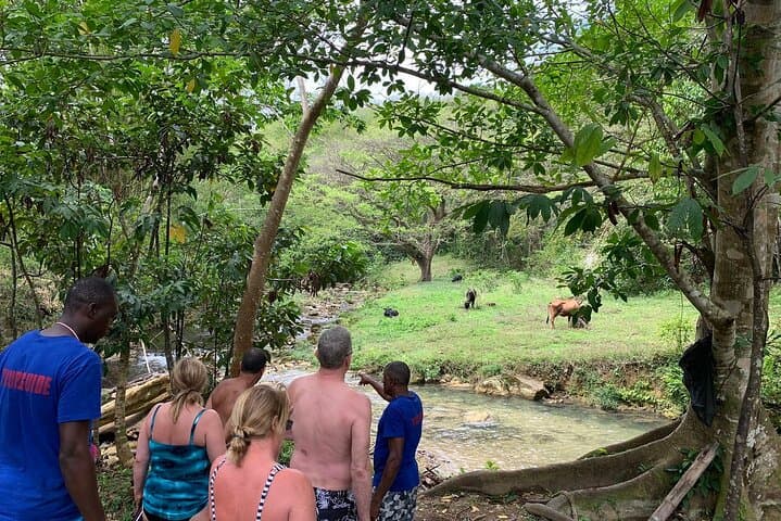 Private Benta River Falls Excursion from Montego Bay: Waterfalls & Blue Lagoon photo 6