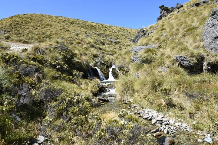 Thrill Ride on Kingston Hill: ATV Adventure Above Lake Wakatipu photo 2