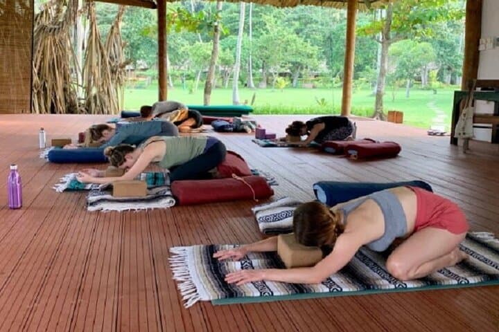 Beachside Restorative Yin Yoga in Talalla — 90-Minute Calm on Sri Lanka’s South Coast photo 4