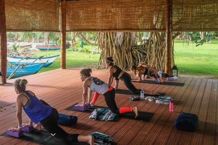 Beachside Restorative Yin Yoga in Talalla — 90-Minute Calm on Sri Lanka’s South Coast photo 6