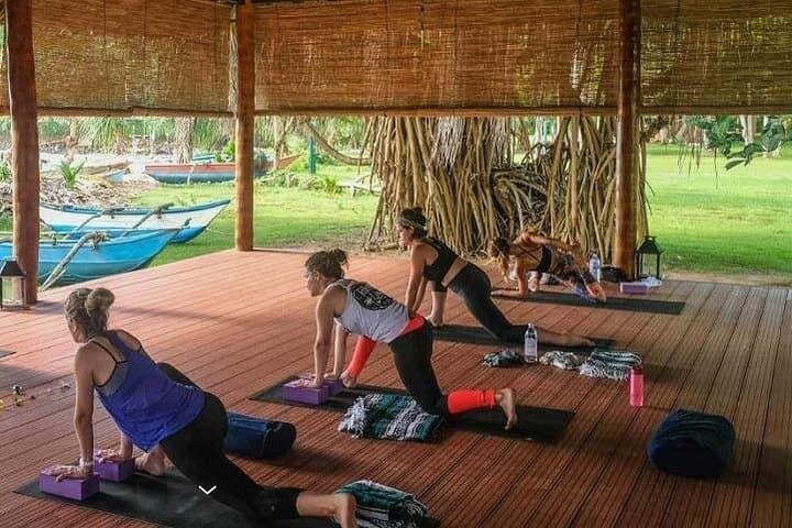 Talalla Beach Vinyasa Flow — 90-Minute Beach Yoga & Ayurveda in Sri Lanka photo 4