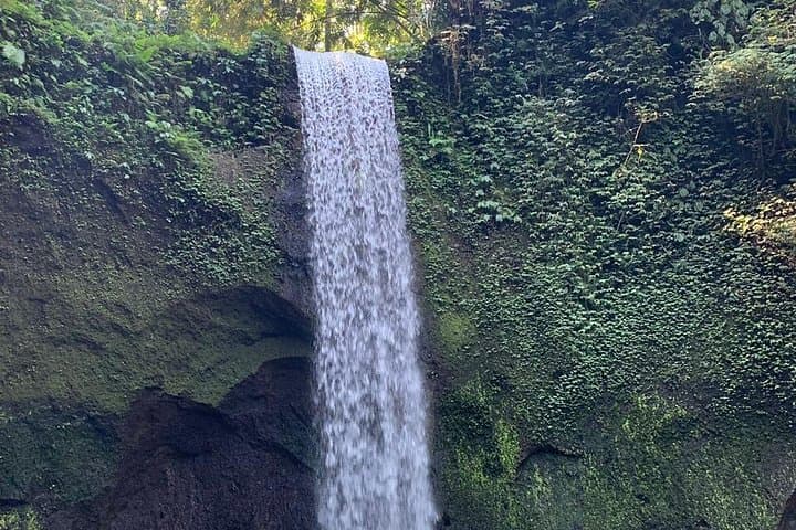 Best of Ubud and Mount Batur: Private Day Tour from Ubud (Monkey Forest, Rice Terraces & Volcano Views) photo 2