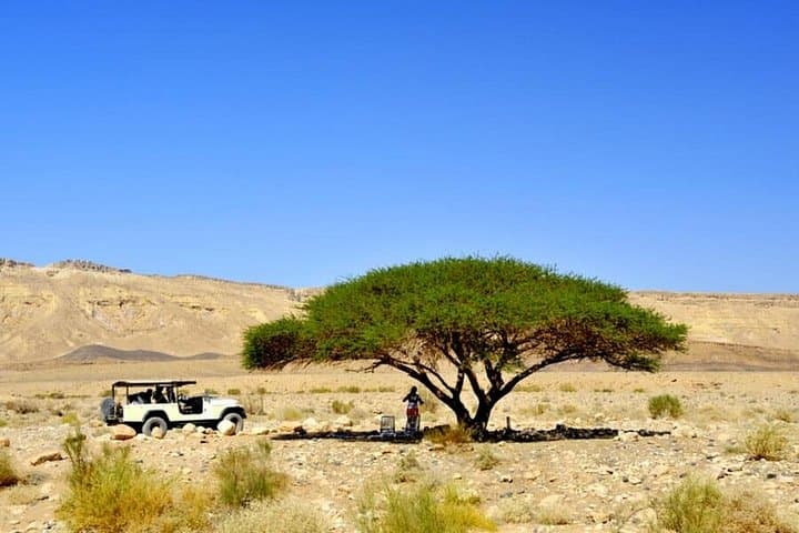 Judean Desert 4x4 Safari and Dead Sea Day Trip from Tel Aviv photo 1