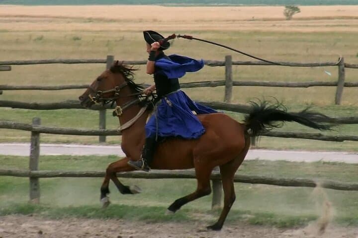 Puszta Horse Show Private Tour from Budapest — Hortobágy Carriage Ride & Lunch photo 6