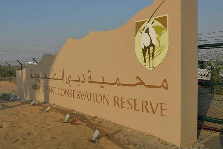 Private Dubai Dune Desert Safari with Dinner — Sunset Dunes, Dune Bashing & Bedouin Camp photo 5