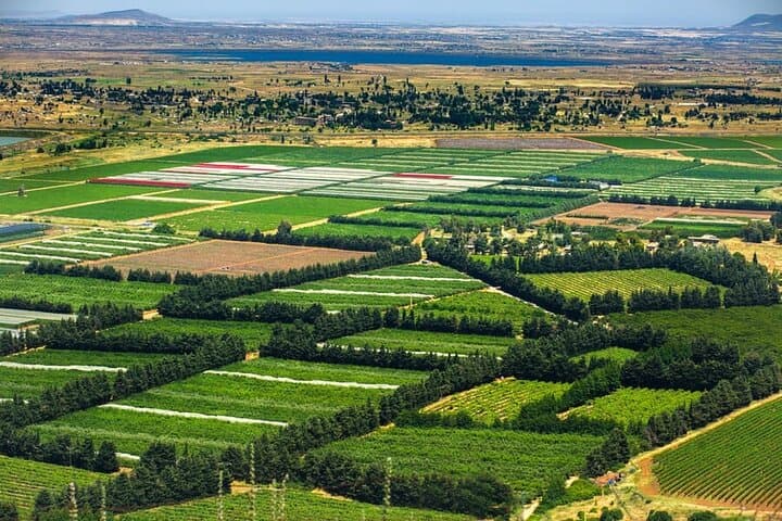 Golan Heights Day Trip from Jerusalem — Mount Bental, Katzrin & Border Views photo 6
