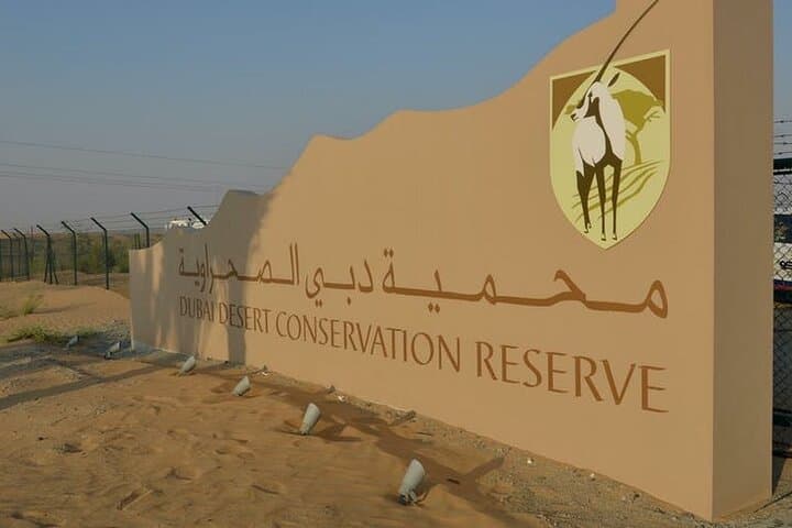 Morning Dubai Desert Safari: Dune Bashing, Camel Ride & Sandboarding