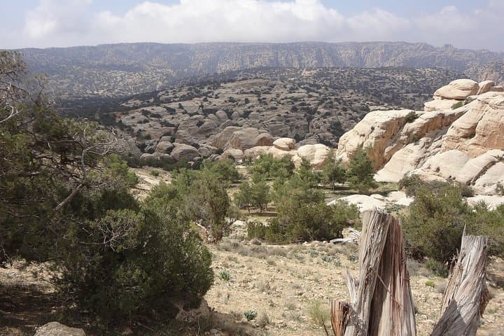 Three-Day Jordan Adventure: Dead Sea Floating, Petra Exploration & Wadi Rum Bubble Camp photo 3