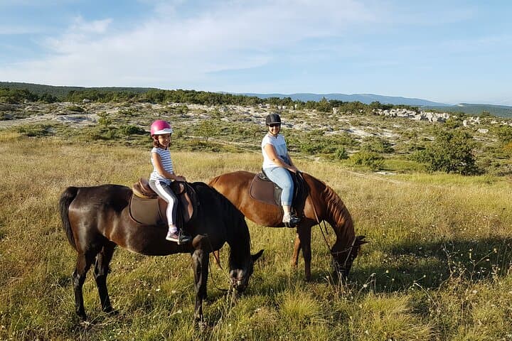 Horseback Riding in Haute-Provence: Luberon & Forcalquier Scenic Trail photo 4