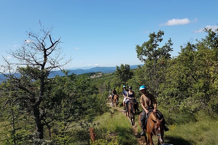 Horseback Riding in Haute-Provence: Luberon & Forcalquier Scenic Trail photo 6