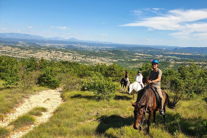 Horseback Riding in Haute-Provence: Luberon & Forcalquier Scenic Trail