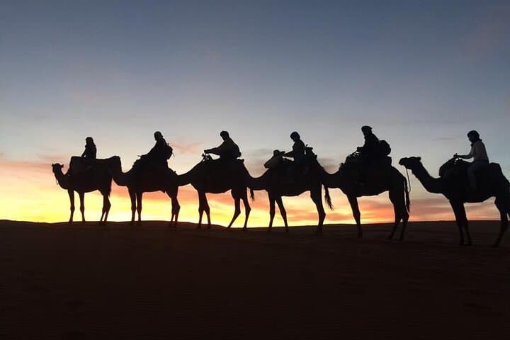 48-Hour Camel Trek & Overnight Camp in Erg Chabbi (Merzouga) photo 5