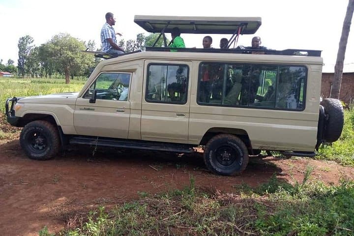 Ruaha National Park 4-Day Safari: Game Drives, Walking Safaris & River Wildlife photo 2