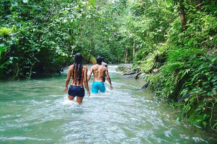 Mayfield Falls Private Excursion from Montego Bay — River Walks & Natural Pools photo 6
