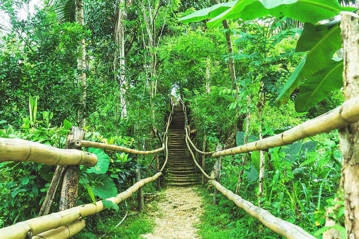 Mayfield Falls Private Excursion from Montego Bay — River Walks & Natural Pools photo 2