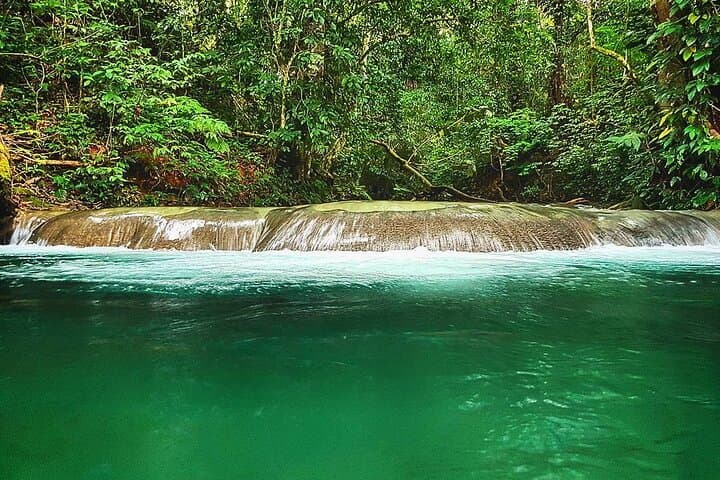 Mayfield Falls Private Excursion from Montego Bay — River Walks & Natural Pools photo 4